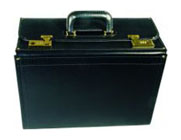 Catalog Cases - C4146 18"