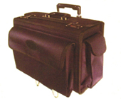 Wheeled Catalog Case - 91